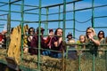 Tractor Hay Ride Royalty Free Stock Photo